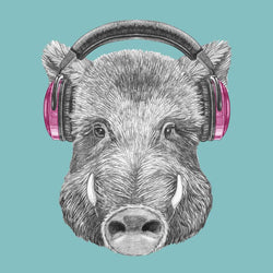 RockPig Band TShirts