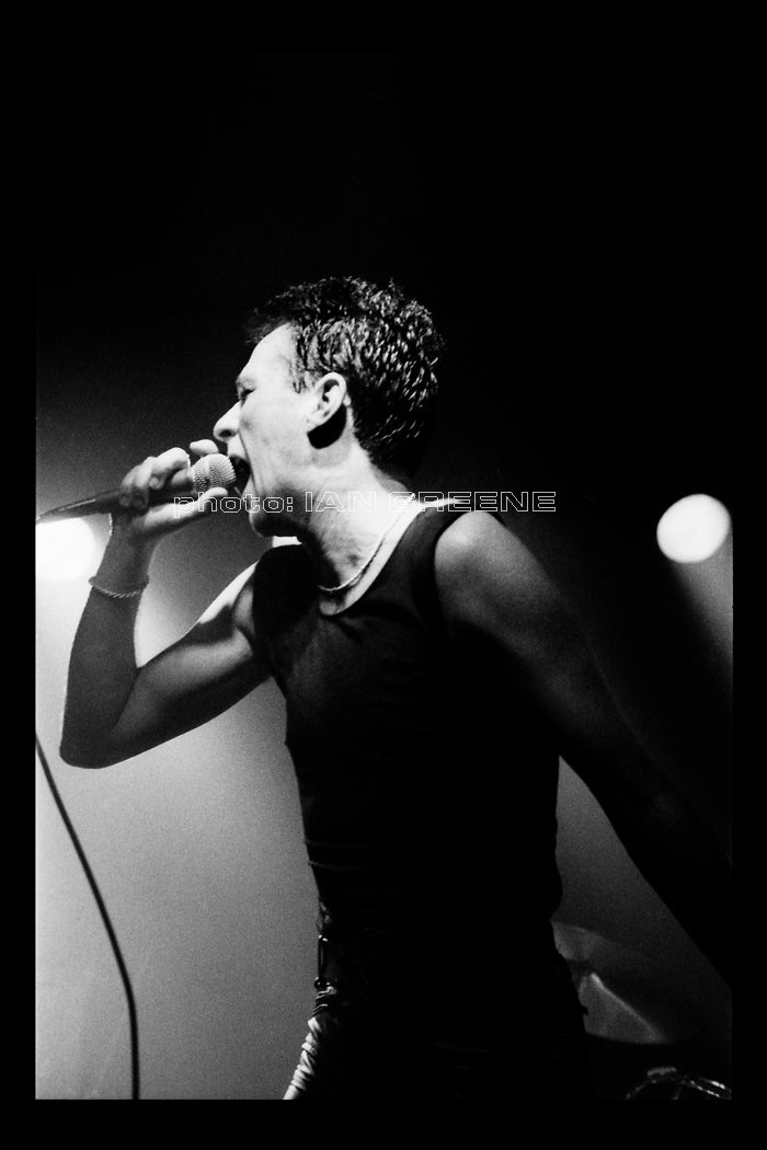 MI-SEX #6 (14" x 9")