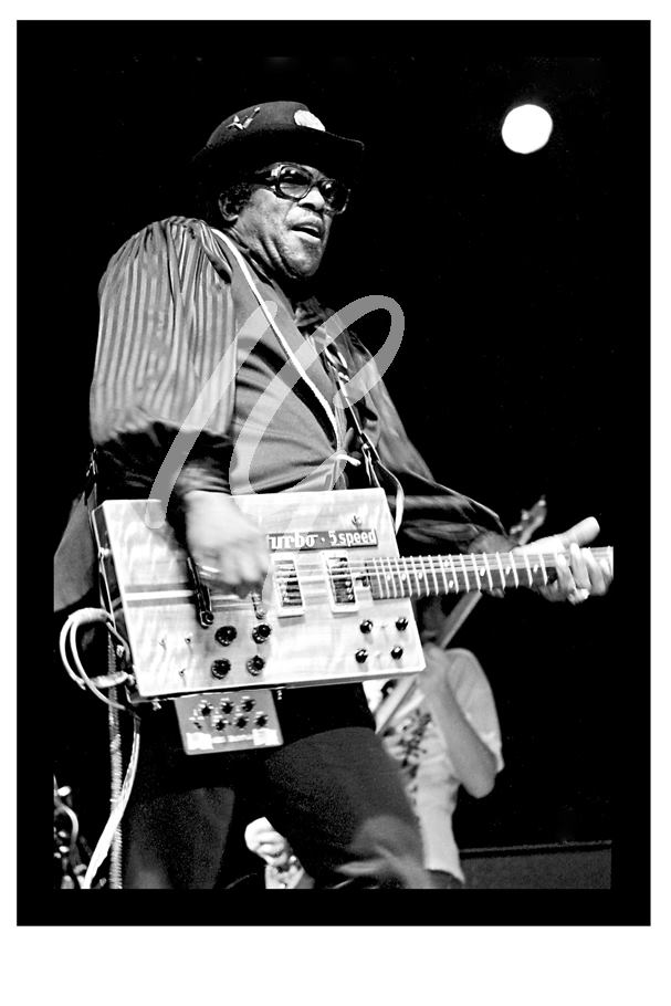 BO DIDDLEY #4   1983   ( 12.5" x 8.5" )