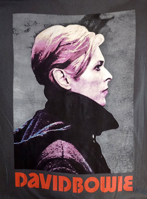 DAVID BOWIE - LOW PORTRAIT ----- L