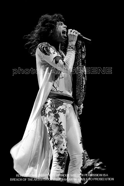 AEROSMITH   2    (12" x 8"  15" x 10"  18" x 12" ; 21" x 14")