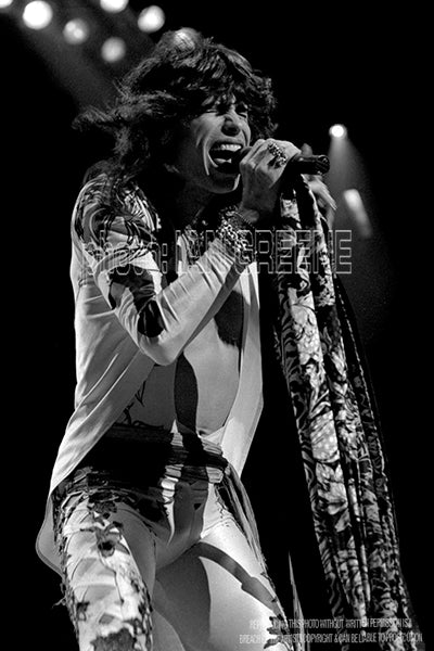 AEROSMITH  1   (12"x 8"  15"x10"  18"x12"  21"x14")