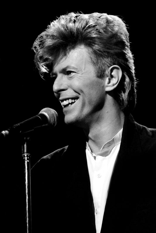 DAVID BOWIE  1  ( 12" x 8")
