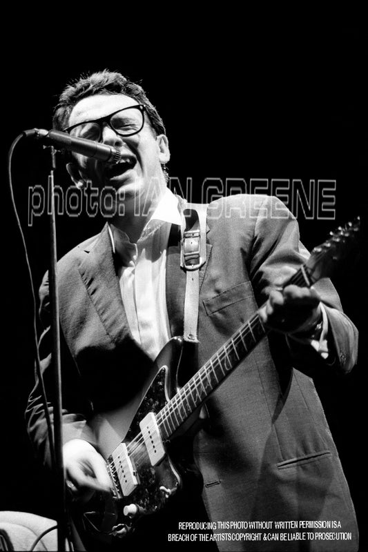 ELVIS COSTELLO     (12" x 8")