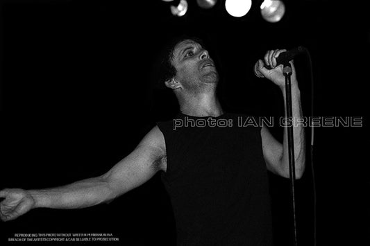 DIED PRETTY 2 (12" x 8" 15" x 10")