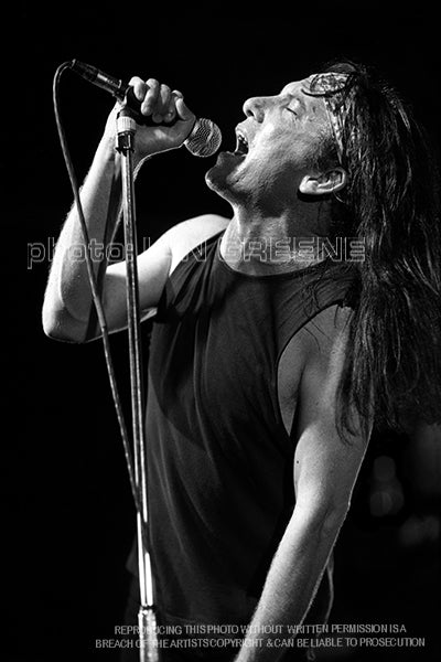 DIED PRETTY (12" x 8" 15" x 10")