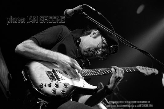 JEFF "SKUNK" BAXTER - MY OLD SCHOOL (12" x 8" 15" x 10" 18" x 12" 21" x 14")