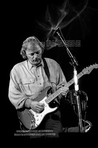 PINK FLOYD - DAVE GILMOUR  1     (12" x 8"  15" x 10"  18" x 12"  21" x 14")