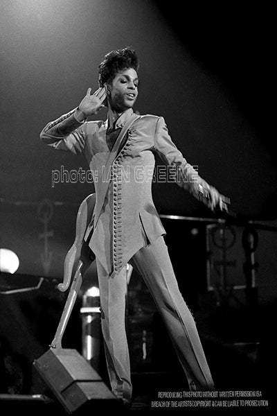 PRINCE   2    (12" x 8"  15" x 10"  18" x 12"  21" x 14")
