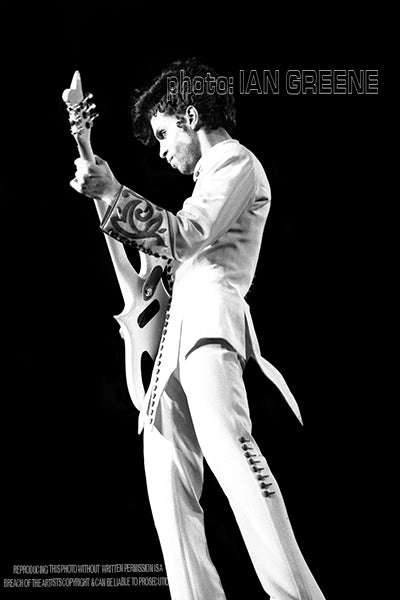PRINCE      (12" x 8"  15" x 10"  18" x 12"  21" x14")