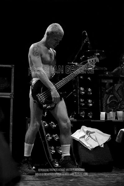 RED HOT CHILI PEPPERS - FLEA      (12" x 8"  15" x 10"  18" x 12"  21" x 14")