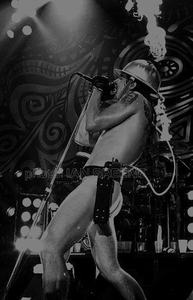 PHOTO - RED HOT CHILI PEPPERS    ( 8" x 12" )