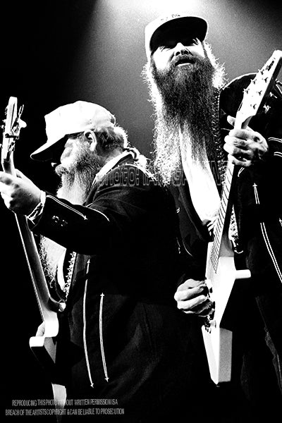 ZZ TOP     (12" x 8"  15" x 10"  18" x 12"  21" x 14")