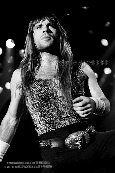 IRON MAIDEN (12" x 8" 15" x 10" 18" x 12" 21" x 14")