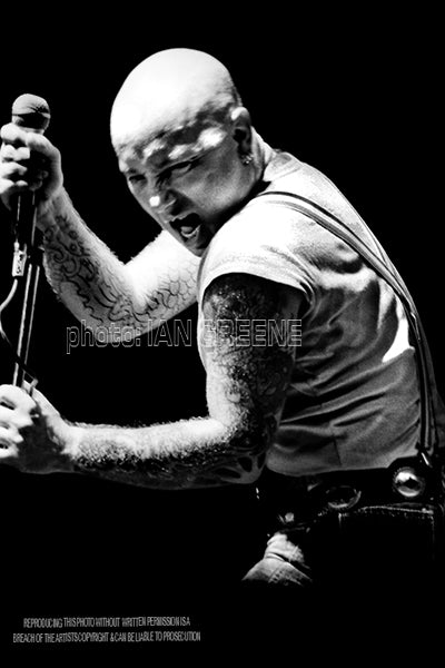 ROSE TATTOO (12" x 8" 15" x 10" 18" x 12" 21" x 14")