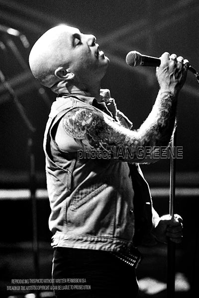 ROSE TATTOO 2 (12" x 8" 15" x 10" 18" x 12" 21" x 14")