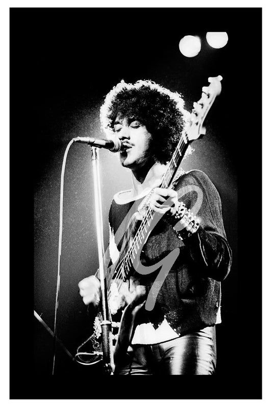 THIN LIZZY   #3      ( 10" X 6." & 12.5" X  8")