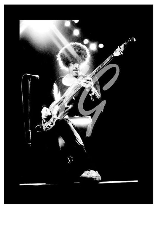 THIN LIZZY   #5    ( 8.5" X 6." .... 11.5" X 8" )