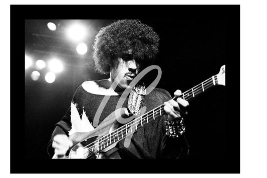 THIN LIZZY #8     (10,25" x 7.75"  &  11" x 7.8")