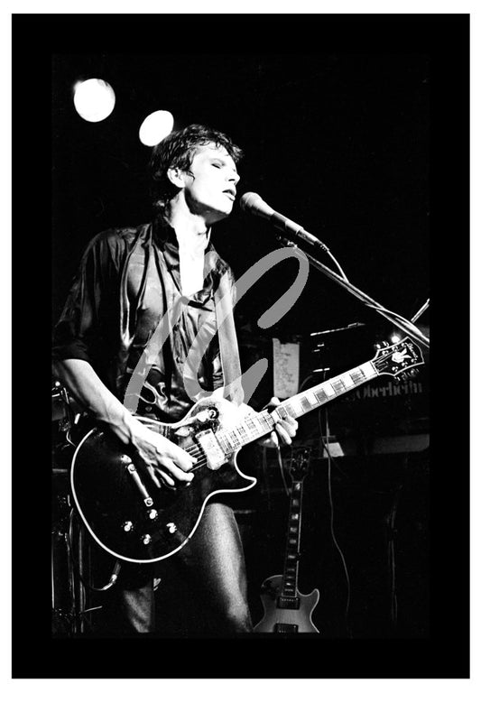 FLOWERS / ICEHOUSE #2 (9.5" X 6.2" & 12.5" x 8" )