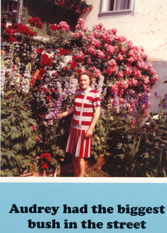 BLANK CARD  AUDREY