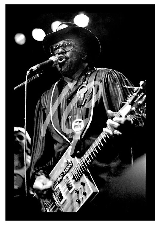 PHOTO - BO DIDDLEY #1    ( 11" x 7.5" & 13.5" x 9.5" )