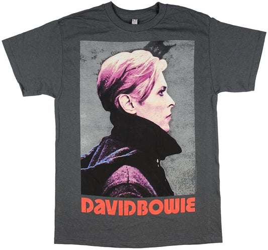 DAVID BOWIE - LOW PORTRAIT ----- L