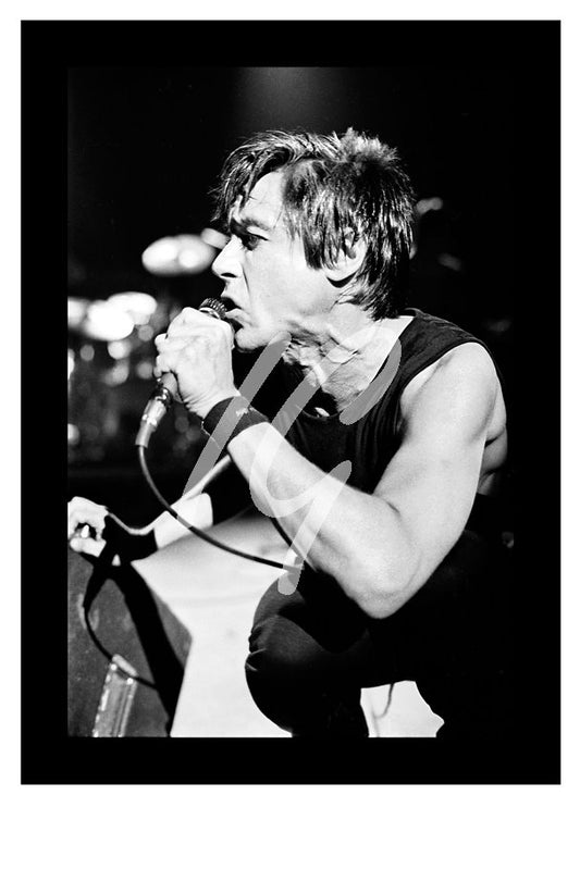 IGGY POP #1    ( 9.25" x 6.5"  &  12" X 8.5" )