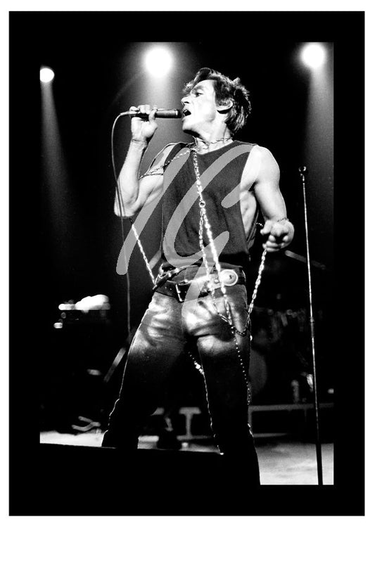 IGGY POP #2    ( 9.5" x 6.25" & 11" x 8" )