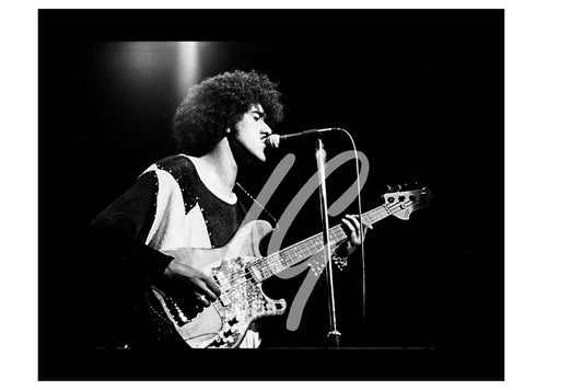 THIN LIZZY   #2    (9" X 6.3" & 11.5" X  8")