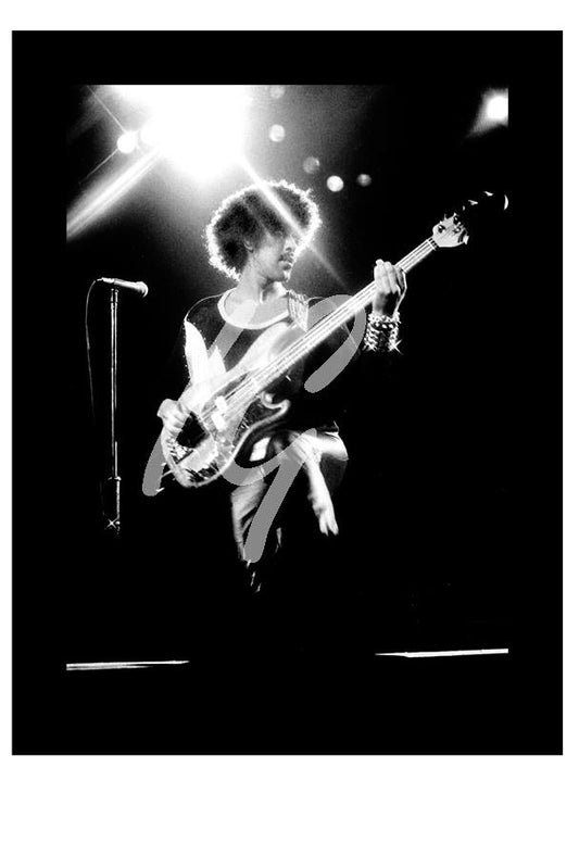 THIN LIZZY #6    ( 11" x 7.5" )